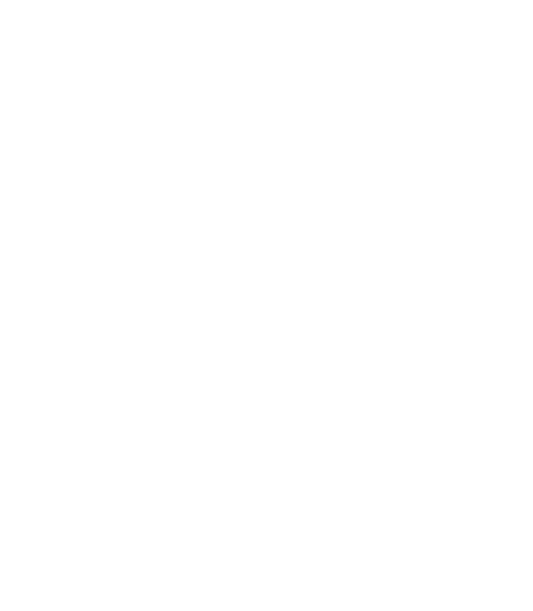 H2INT_logo